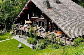 Large peaceful chalet for mountain adventures! Perfect for Flégère and Grand Montet skiing